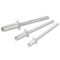 Pop Rivets - 100 Pieces From Workshop Plus 