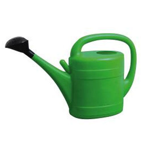 Green Watering Can With Rose 10L